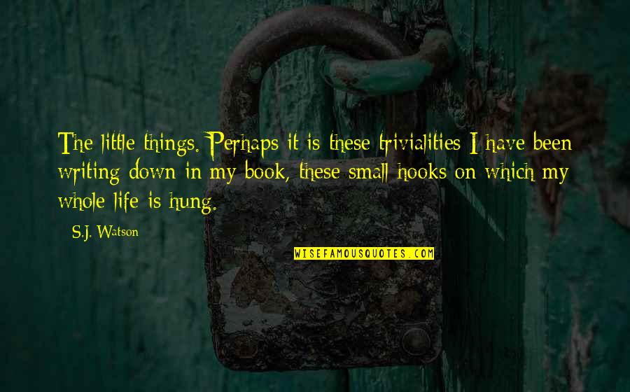 Life In Book Quotes By S.J. Watson: The little things. Perhaps it is these trivialities