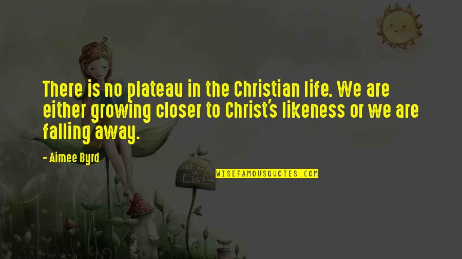 Life In Christ Quotes By Aimee Byrd: There is no plateau in the Christian life.