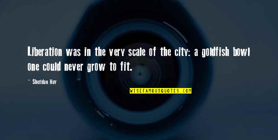 Life In City Quotes By Sheridan Hay: Liberation was in the very scale of the