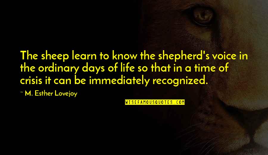 Life In Crisis Quotes By M. Esther Lovejoy: The sheep learn to know the shepherd's voice Life In Crisis Quotes By M. Esther Lovejoy: The sheep learn to know the shepherd's voice
