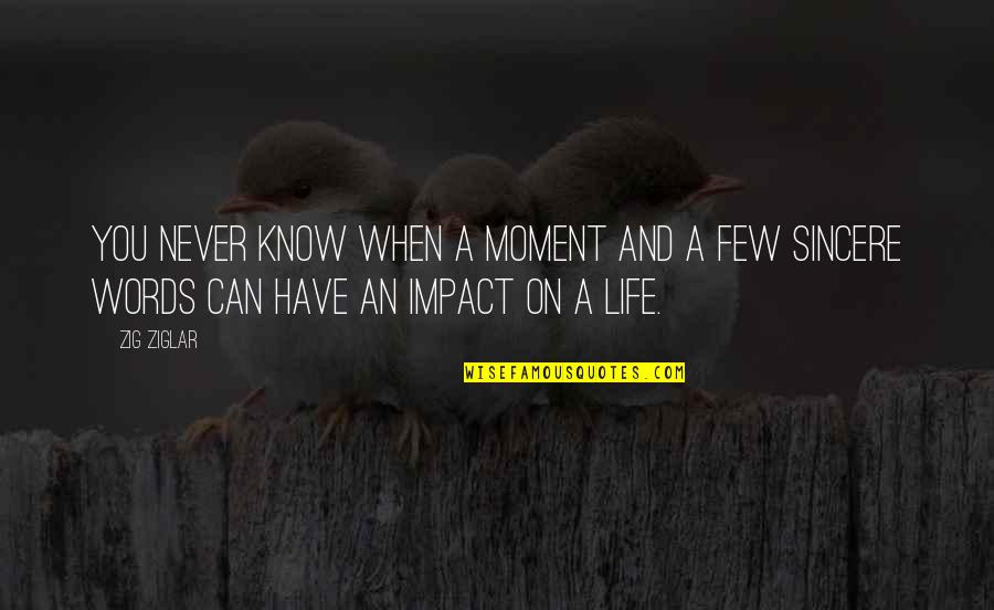 Life In Few Words Quotes By Zig Ziglar: You never know when a moment and a