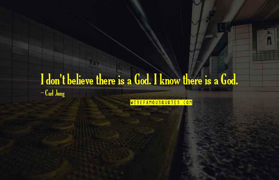 Life In Hebrew Quotes By Carl Jung: I don't believe there is a God. I