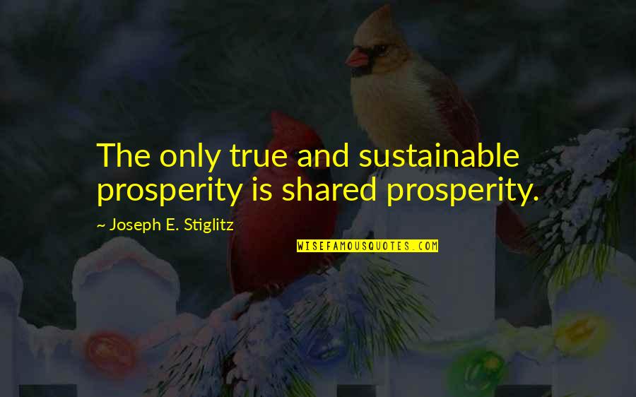 Life In Italian Translated In English Quotes By Joseph E. Stiglitz: The only true and sustainable prosperity is shared