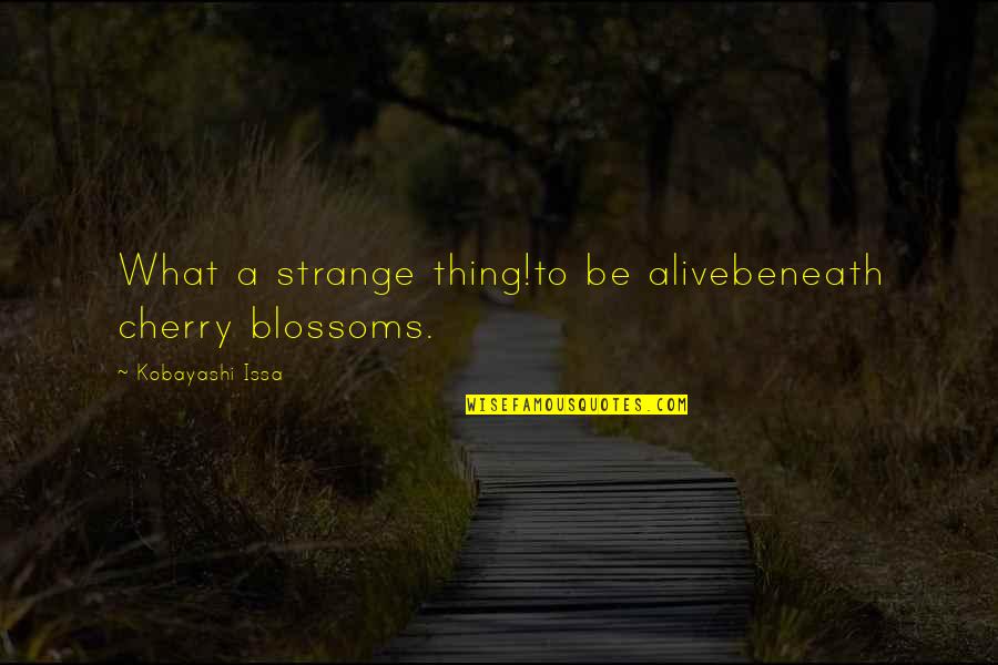 Life In Japan Quotes By Kobayashi Issa: What a strange thing!to be alivebeneath cherry blossoms.