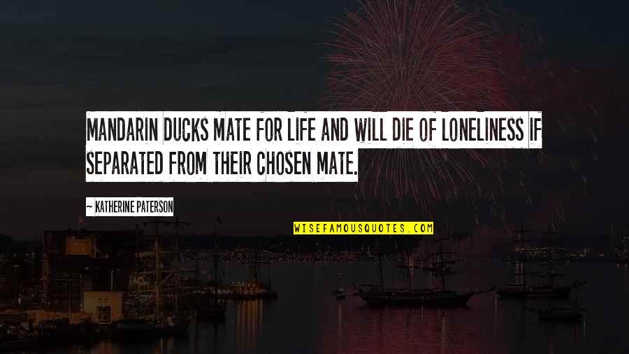 Life In Mandarin Quotes By Katherine Paterson: Mandarin ducks mate for life and will die Life In Mandarin Quotes By Katherine Paterson: Mandarin ducks mate for life and will die