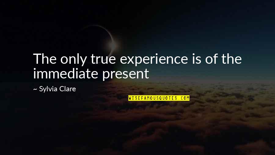 Life In Picture Form Quotes By Sylvia Clare: The only true experience is of the immediate