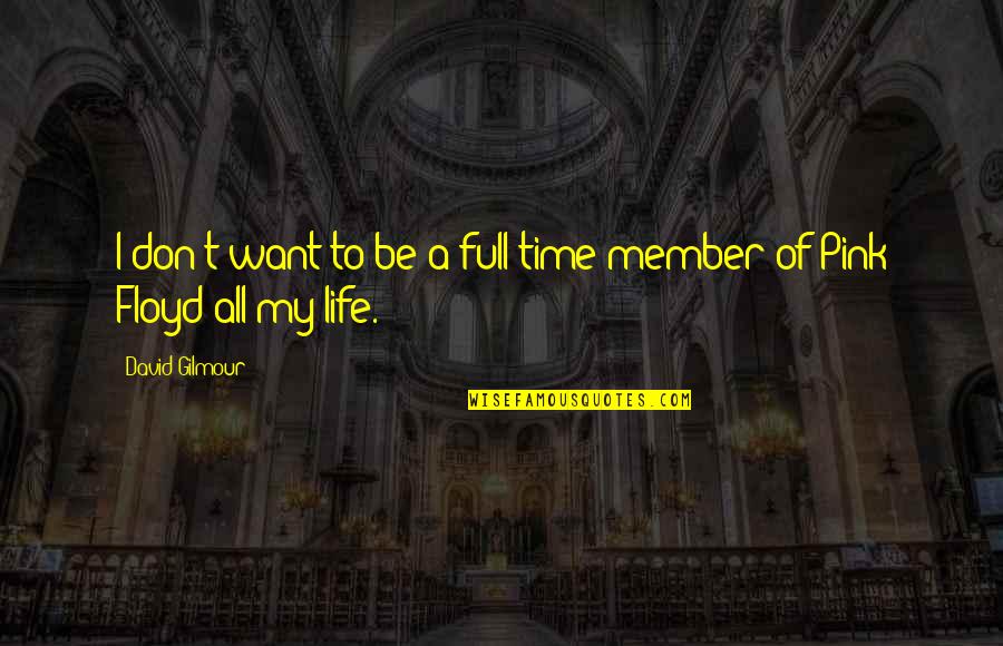 Life In Pink Quotes By David Gilmour: I don't want to be a full-time member