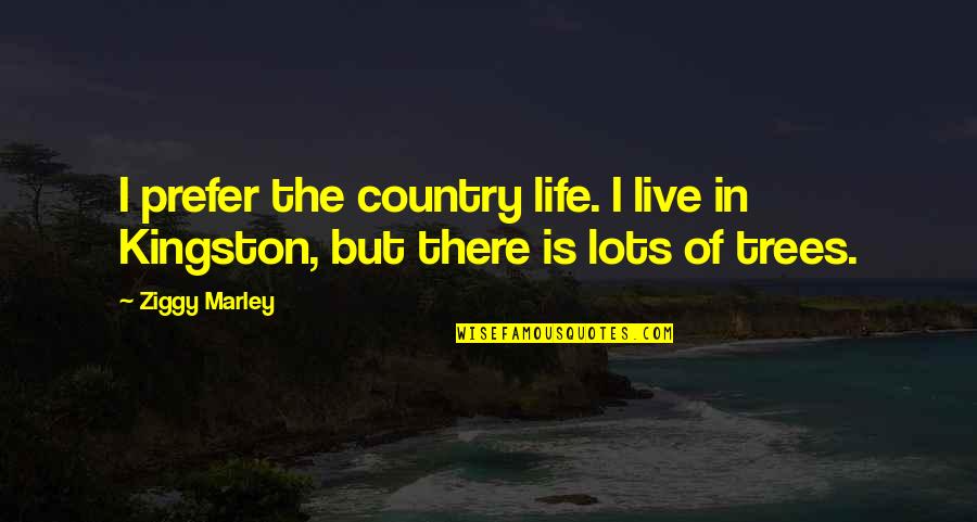 Life In The Country Quotes By Ziggy Marley: I prefer the country life. I live in