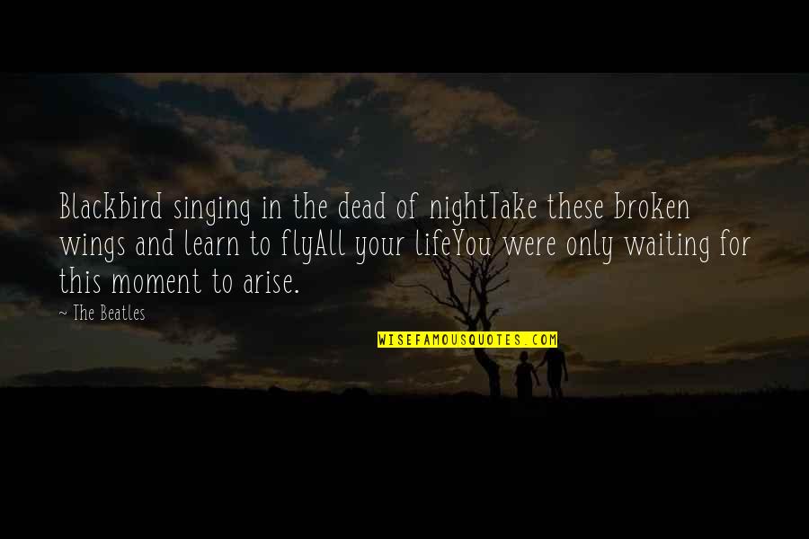 Life In The Moment Quotes By The Beatles: Blackbird singing in the dead of nightTake these Life In The Moment Quotes By The Beatles: Blackbird singing in the dead of nightTake these