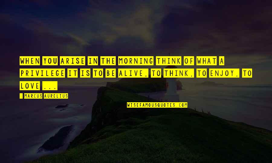 Life In The Morning Quotes By Marcus Aurelius: When you arise in the morning think of