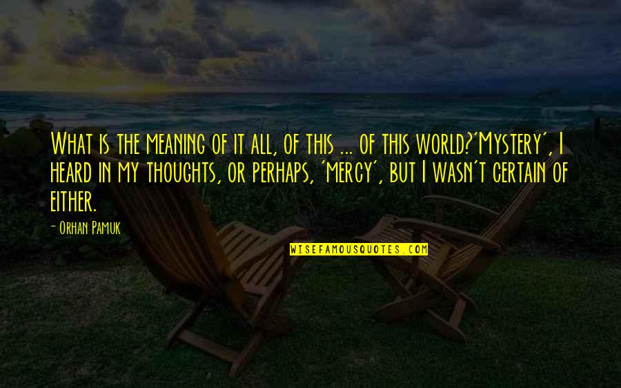 Life In The World Quotes By Orhan Pamuk: What is the meaning of it all, of
