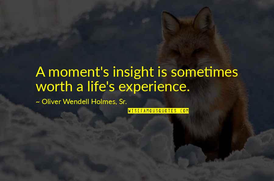 Life Insight Quotes By Oliver Wendell Holmes, Sr.: A moment's insight is sometimes worth a life's
