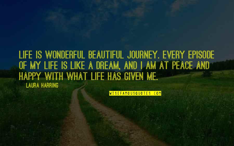 Life Is A Beautiful Journey Quotes By Laura Harring: Life is wonderful beautiful journey. Every episode of
