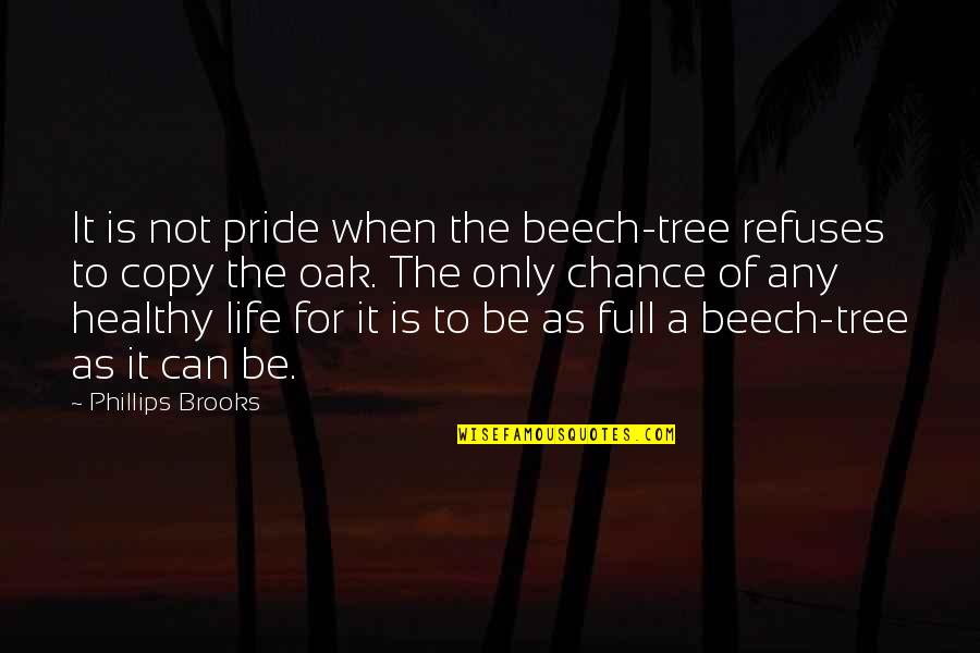 Life Is A Chance Quotes By Phillips Brooks: It is not pride when the beech-tree refuses Life Is A Chance Quotes By Phillips Brooks: It is not pride when the beech-tree refuses