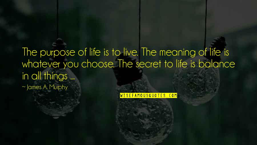 Life Is A Choice Quotes By James A. Murphy: The purpose of life is to live. The Life Is A Choice Quotes By James A. Murphy: The purpose of life is to live. The