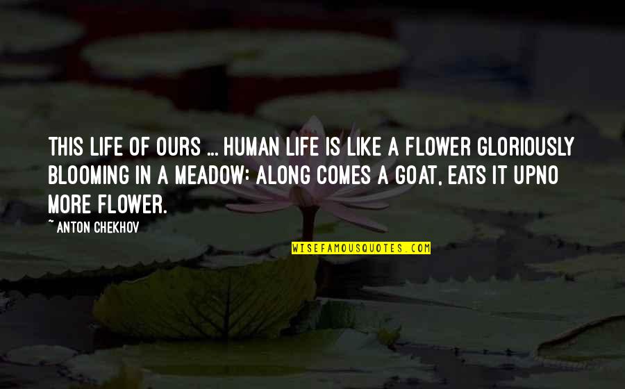 Life Is A Flower Quotes By Anton Chekhov: This life of ours ... human life is Life Is A Flower Quotes By Anton Chekhov: This life of ours ... human life is