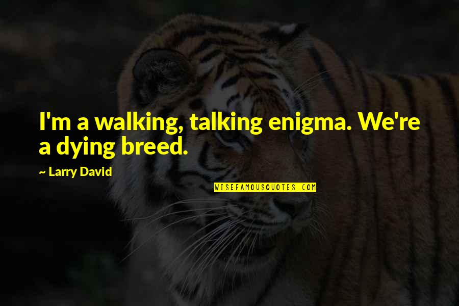 Life Is A Journey Islamic Quotes By Larry David: I'm a walking, talking enigma. We're a dying