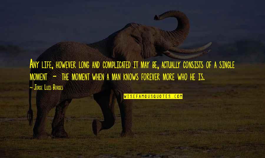 Life Is A Moment Quotes By Jorge Luis Borges: Any life, however long and complicated it may Life Is A Moment Quotes By Jorge Luis Borges: Any life, however long and complicated it may
