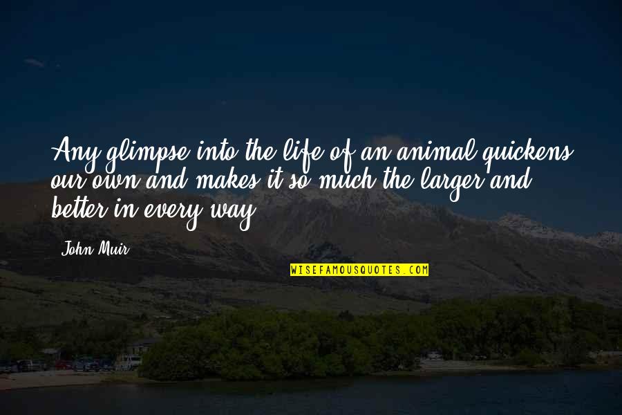 Life Is Better Now Quotes By John Muir: Any glimpse into the life of an animal