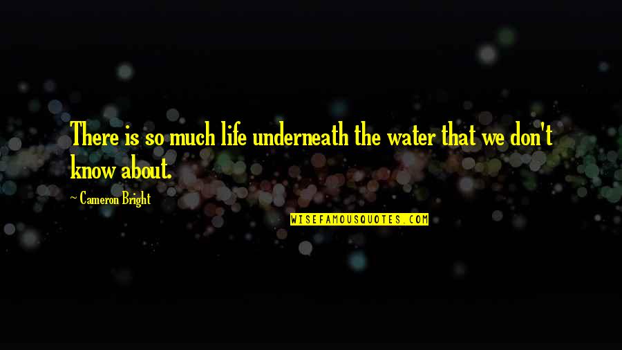 Life Is Bright Quotes By Cameron Bright: There is so much life underneath the water