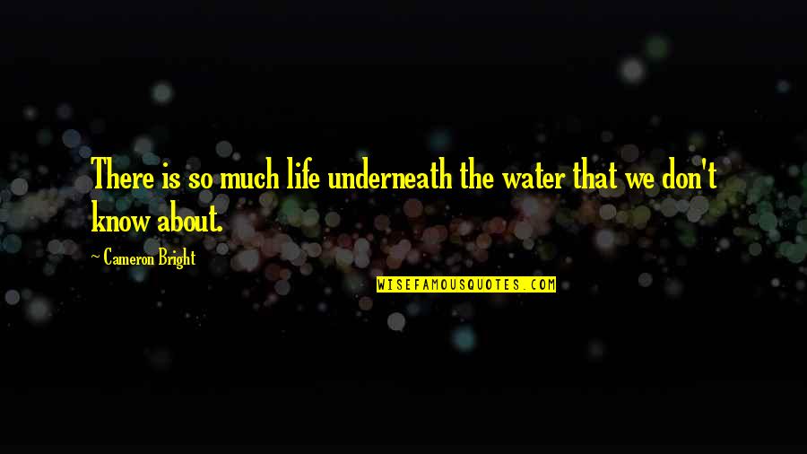Life Is Bright Quotes By Cameron Bright: There is so much life underneath the water Life Is Bright Quotes By Cameron Bright: There is so much life underneath the water