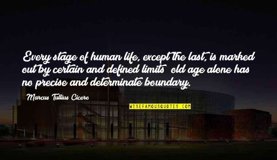 Life Is Defined By Quotes By Marcus Tullius Cicero: Every stage of human life, except the last,