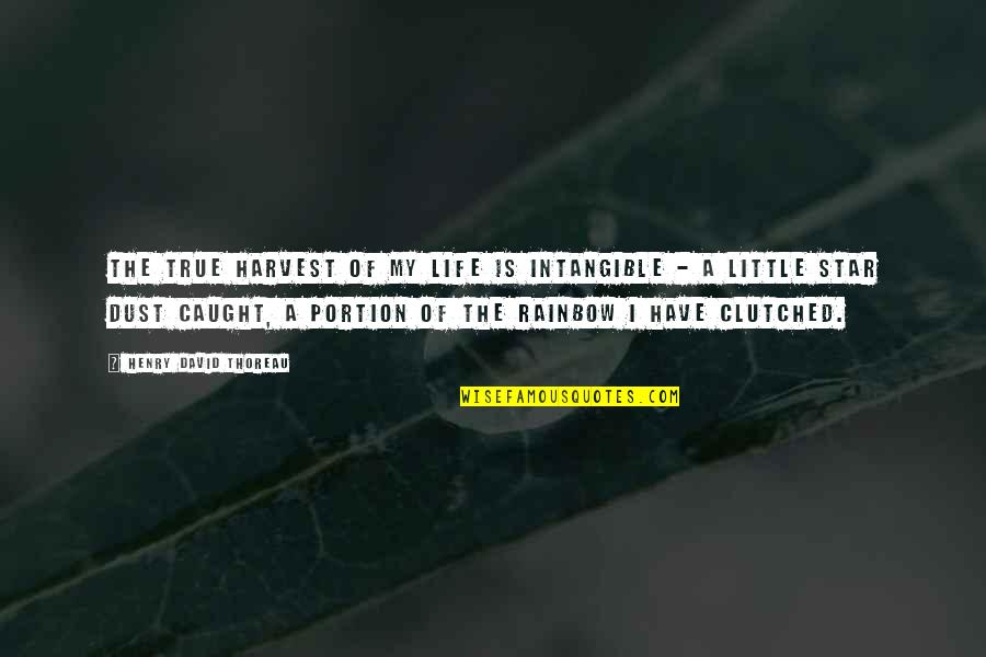 Life Is Dust Quotes By Henry David Thoreau: The true harvest of my life is intangible