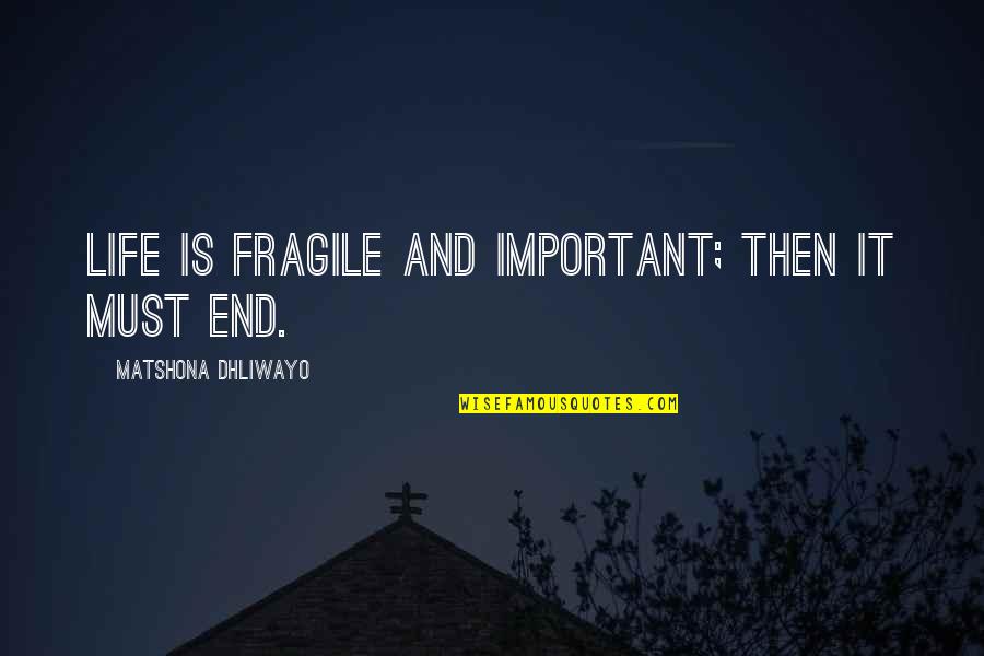 Life Is Fragile Quotes By Matshona Dhliwayo: Life is fragile and important; then it must