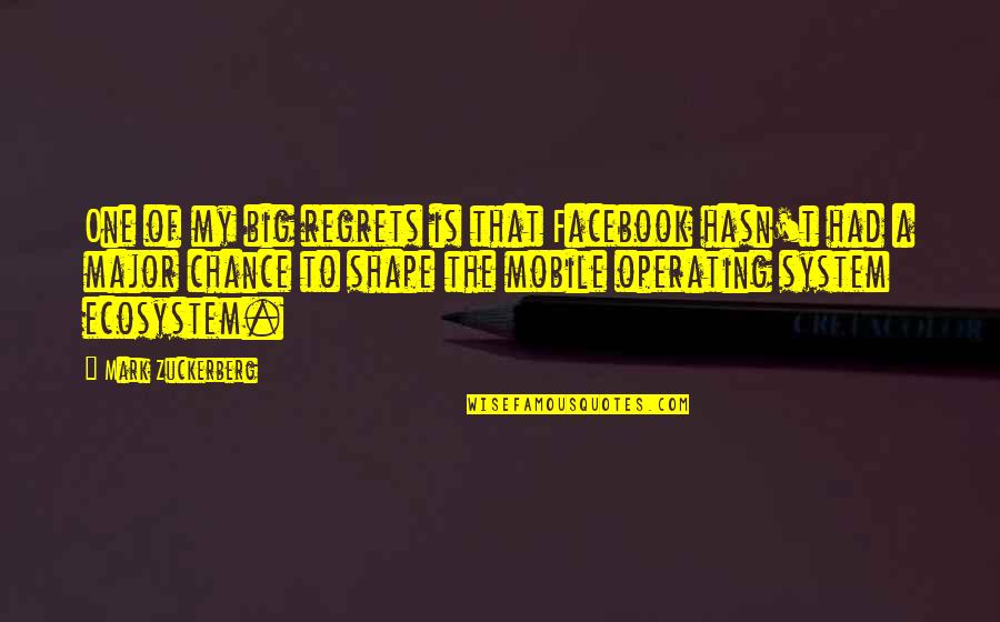 Life Is Funny Sometimes Quotes By Mark Zuckerberg: One of my big regrets is that Facebook