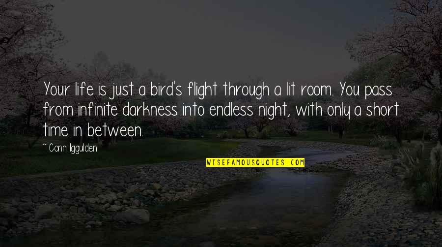 Life Is Infinite Quotes By Conn Iggulden: Your life is just a bird's flight through Life Is Infinite Quotes By Conn Iggulden: Your life is just a bird's flight through