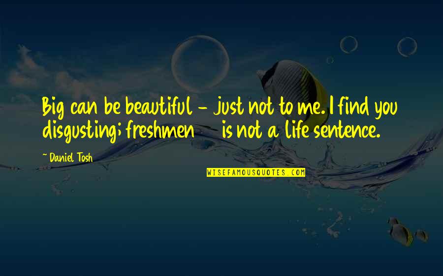 Life Is Just Beautiful Quotes By Daniel Tosh: Big can be beautiful - just not to