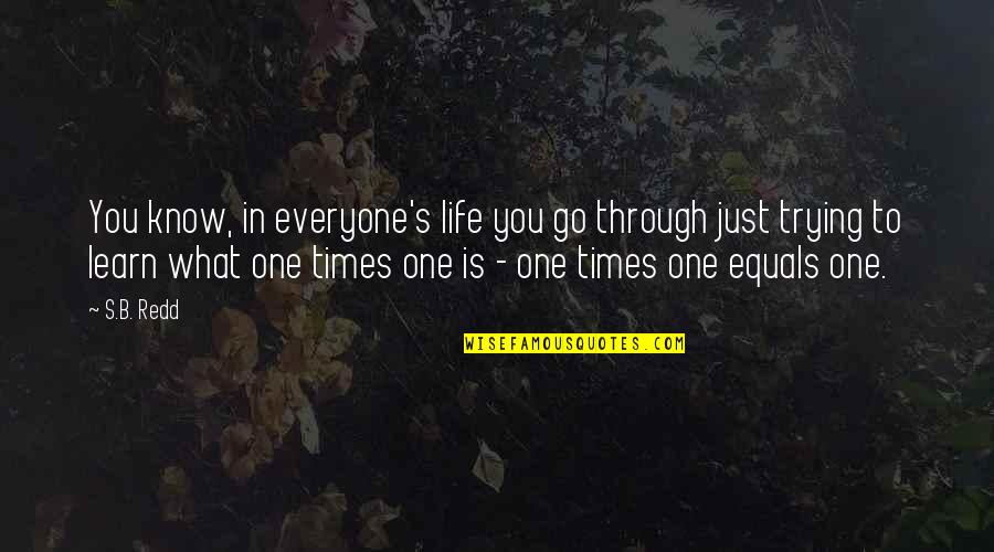 Life Is Just One Quotes By S.B. Redd: You know, in everyone's life you go through Life Is Just One Quotes By S.B. Redd: You know, in everyone's life you go through