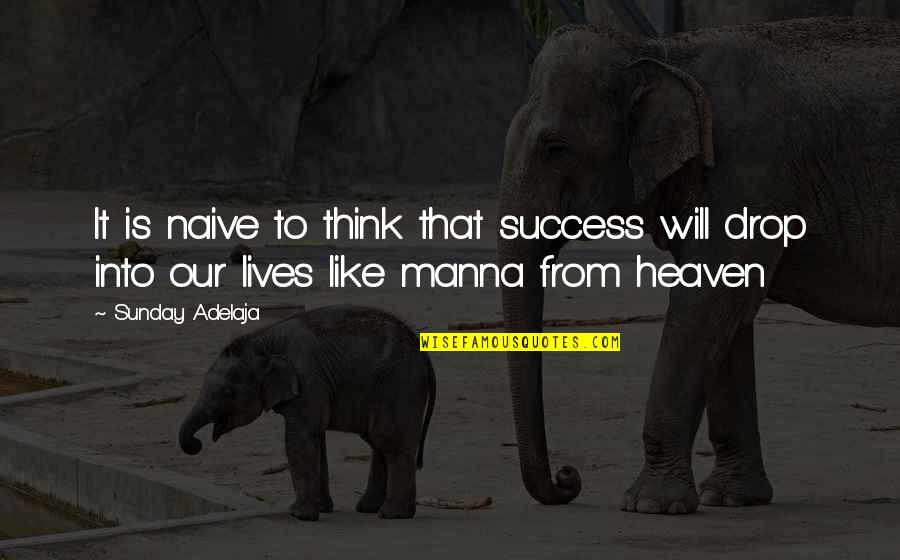 Life Is Like A Blurry Picture Quotes By Sunday Adelaja: It is naive to think that success will