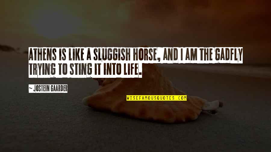 Life Is Like A Horse Quotes By Jostein Gaarder: Athens is like a sluggish horse, and I