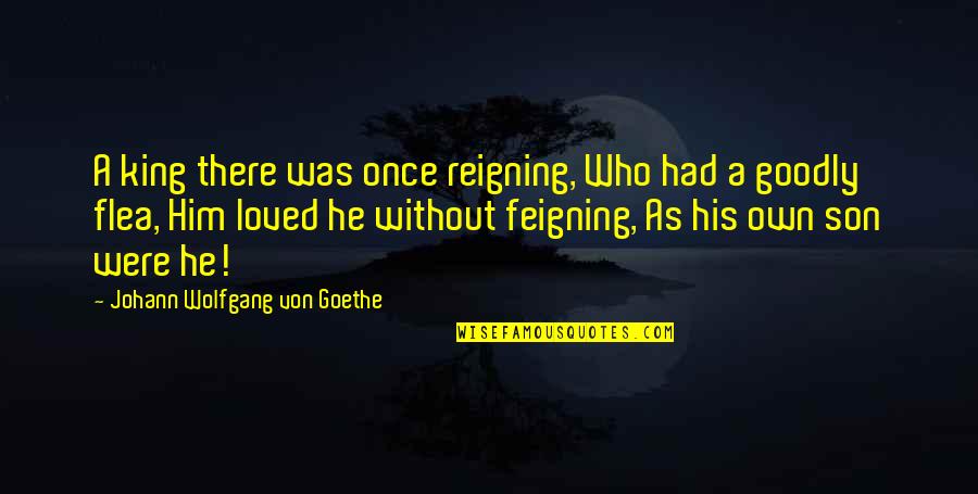 Life Is Like A Roller Coaster Quotes By Johann Wolfgang Von Goethe: A king there was once reigning, Who had