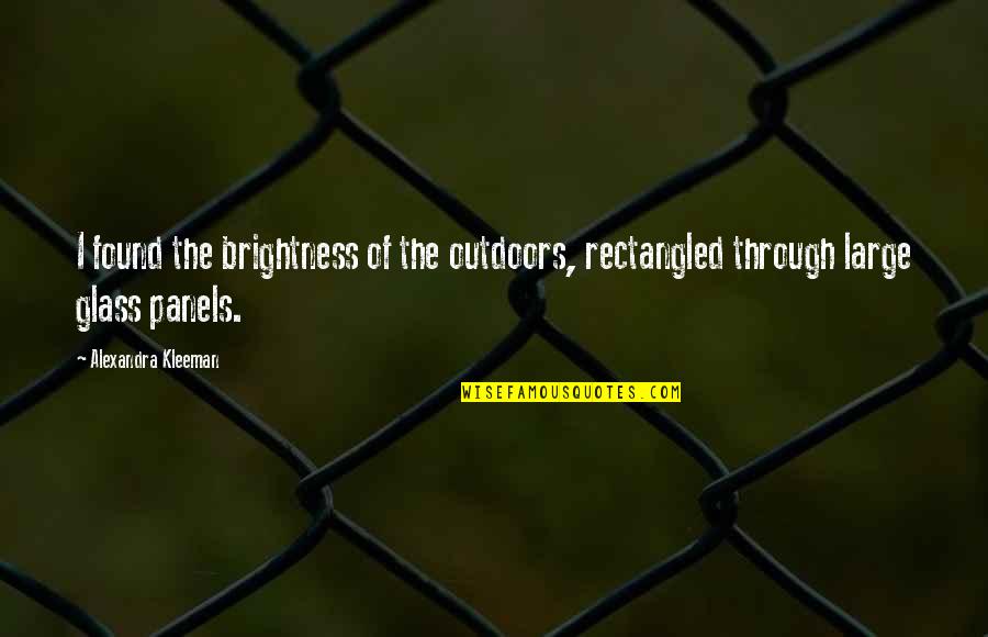 Life Is Like If Else And Try Catch Quotes By Alexandra Kleeman: I found the brightness of the outdoors, rectangled