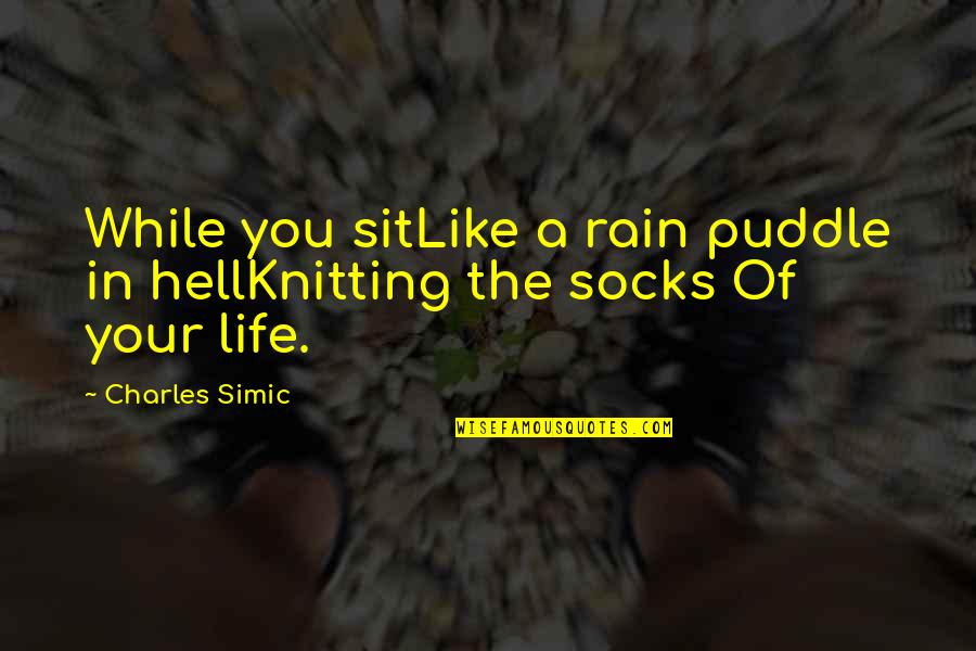 Life Is Like Rain Quotes By Charles Simic: While you sitLike a rain puddle in hellKnitting
