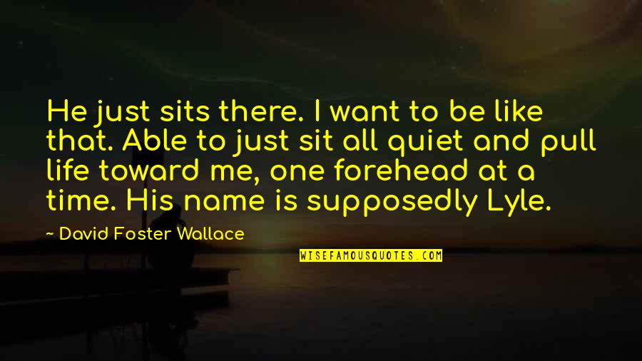 Life Is Like Time Quotes By David Foster Wallace: He just sits there. I want to be
