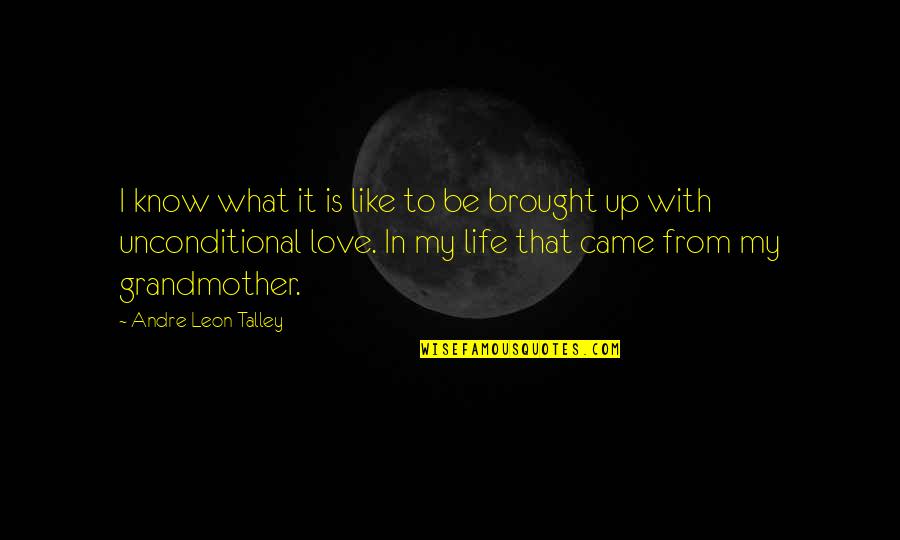 Life Is Like What Quotes By Andre Leon Talley: I know what it is like to be