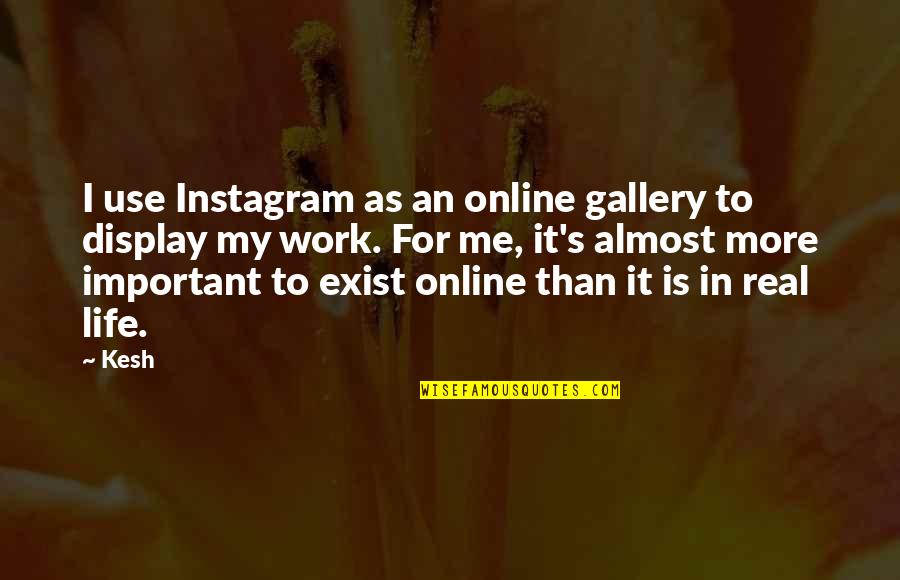 Life Is More Important Than Work Quotes By Kesh: I use Instagram as an online gallery to