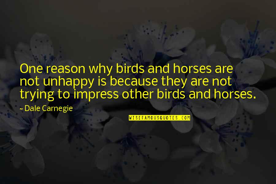 Life Is More Than Material Things Quotes By Dale Carnegie: One reason why birds and horses are not