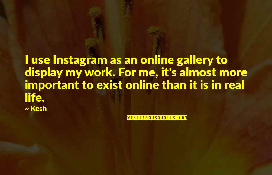 Life Is More Than Work Quotes By Kesh: I use Instagram as an online gallery to