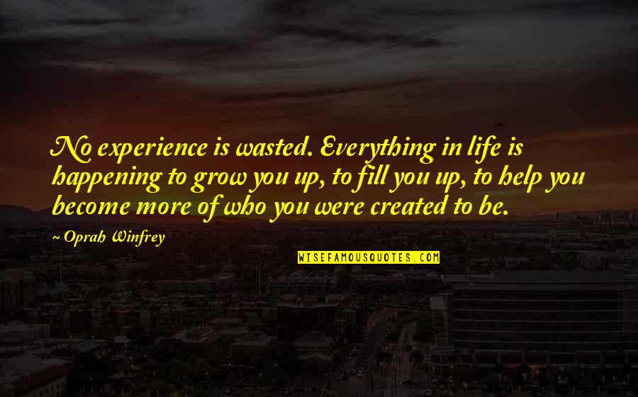 Life Is No More Quotes By Oprah Winfrey: No experience is wasted. Everything in life is