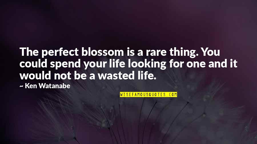 Life Is Not A Dream Quotes By Ken Watanabe: The perfect blossom is a rare thing. You Life Is Not A Dream Quotes By Ken Watanabe: The perfect blossom is a rare thing. You
