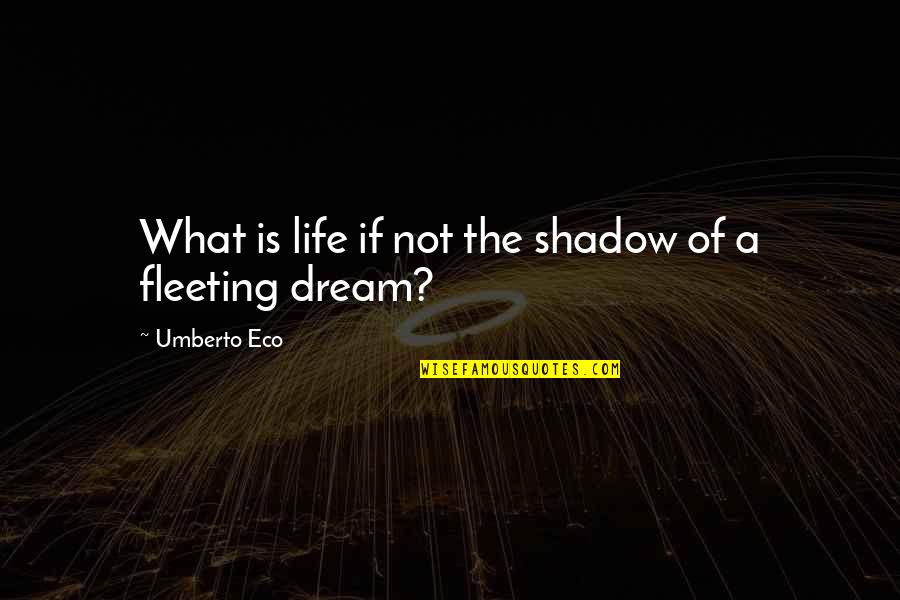 Life Is Not A Dream Quotes By Umberto Eco: What is life if not the shadow of