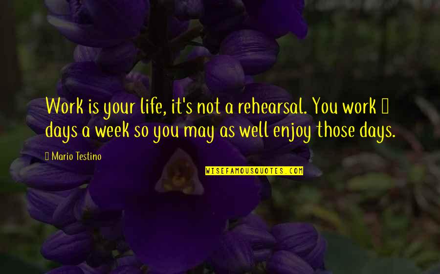 Life Is Not A Rehearsal Quotes By Mario Testino: Work is your life, it's not a rehearsal.