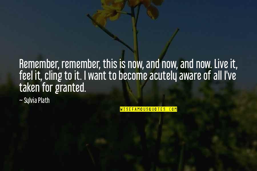 Life Is Not Granted Quotes By Sylvia Plath: Remember, remember, this is now, and now, and