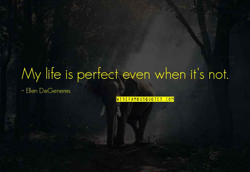 Life Is Not Perfect Quotes By Ellen DeGeneres: My life is perfect even when it's not.