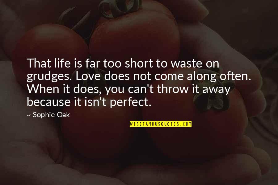 Life Is Not Perfect Quotes By Sophie Oak: That life is far too short to waste