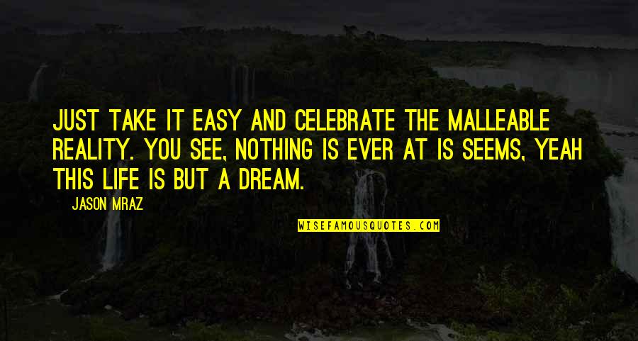 Life Is Nothing But A Dream Quotes By Jason Mraz: Just take it easy and celebrate the malleable